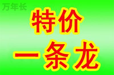 广东省佛山市高明区坟地每年管理费用是多少？